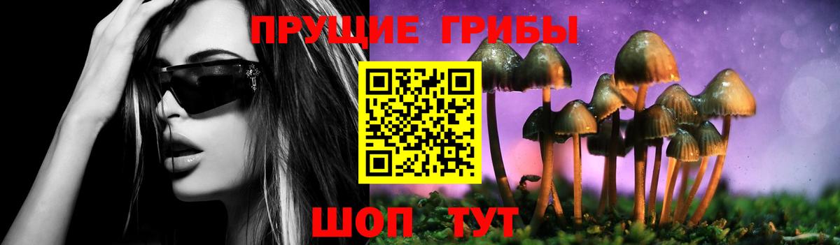 Псилоцибиновые грибы GOLDEN TEACHER  Вход с VPN  Минусинск 